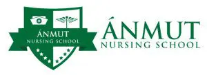 Anmut Nursing School logo