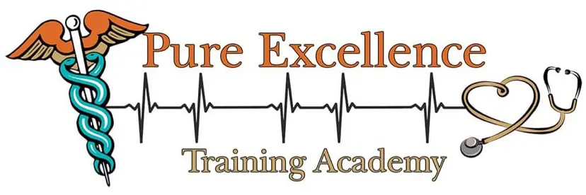 https://thesecretcocktail.com/wp-content/uploads/2022/10/Pure-Excellence-Training-Academy-logo.jpeg